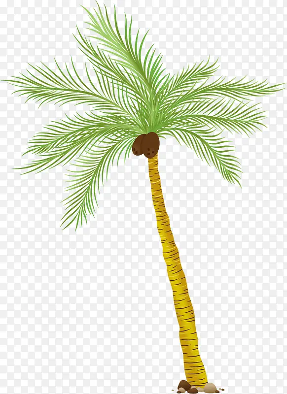 ��Ǧ������-������