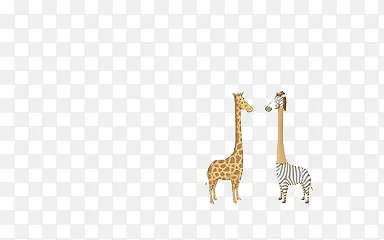 �ɰ�����-������