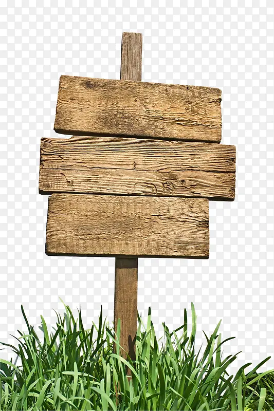 �ݴ�ָʾ��-������