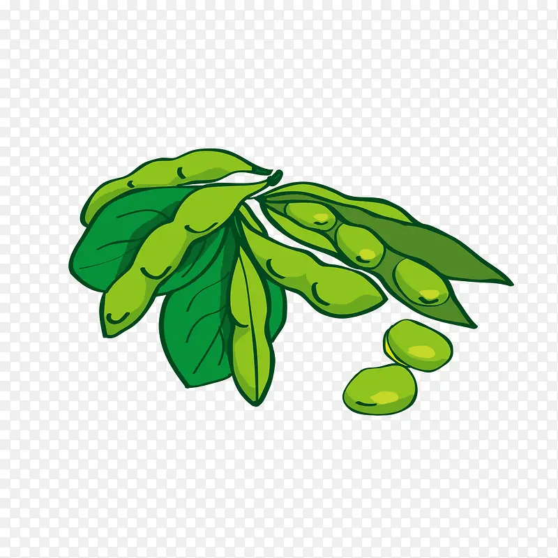 �ֻ�ë��-������