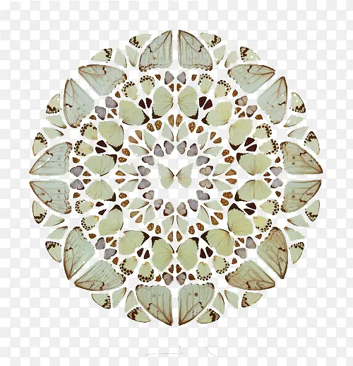 �������Բ��-������