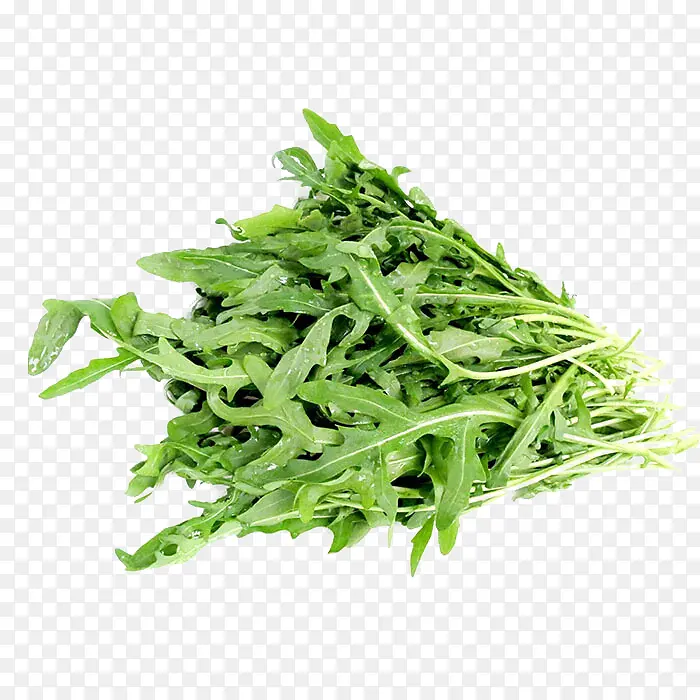 ֥����ز�-������