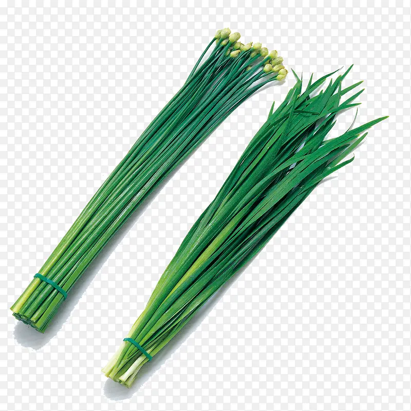 �߲˾²�-������