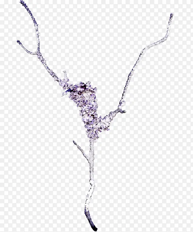 ��֦����ز�-������