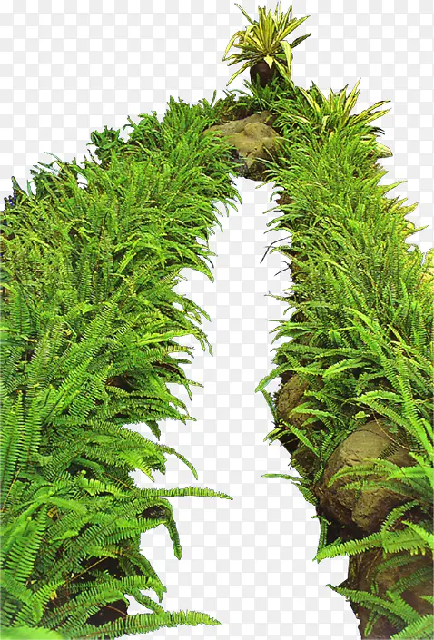 ������Ӱ����С·����ɫֲ��-������