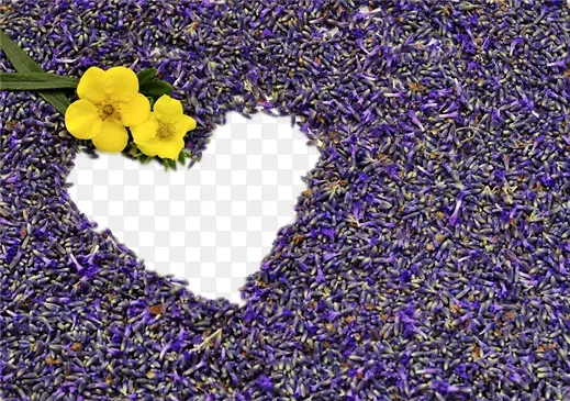 ޹�²�ƴ�ɵ���-������