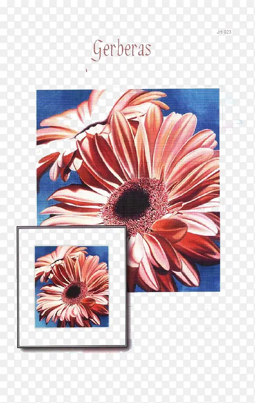 ���⻨����Ƭ-������