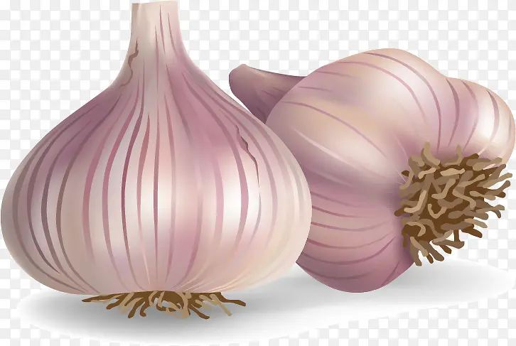 ʸ�����������ز�-������