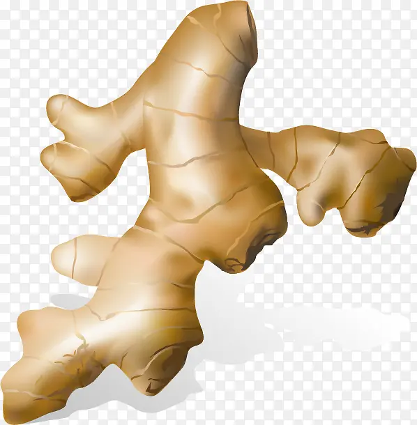 ʸ�����������ز�-������