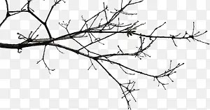 ���տ�ή��֦-������