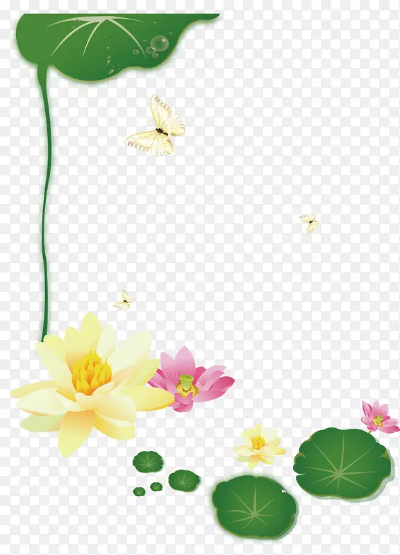 ���ںɻ�С���ز�-������