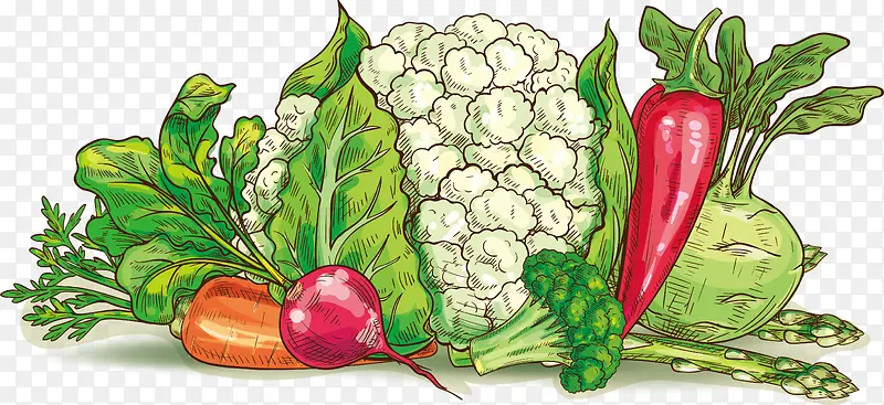 ��ζ�߲˶�-������