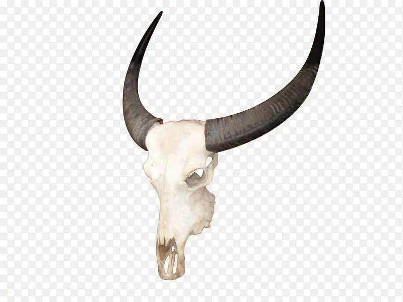 ��ͷԪ��-������