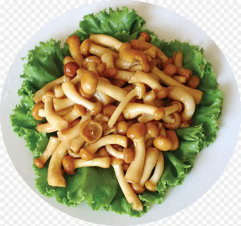 �߲���ů���Ģ��-������