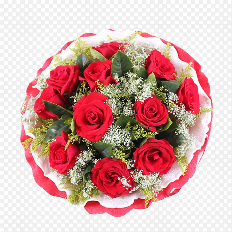 ��õ��-������