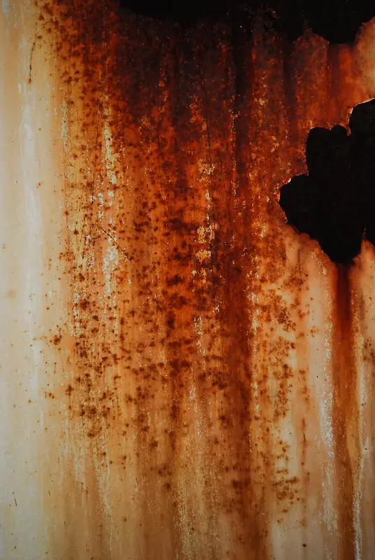 �����⼣����-������