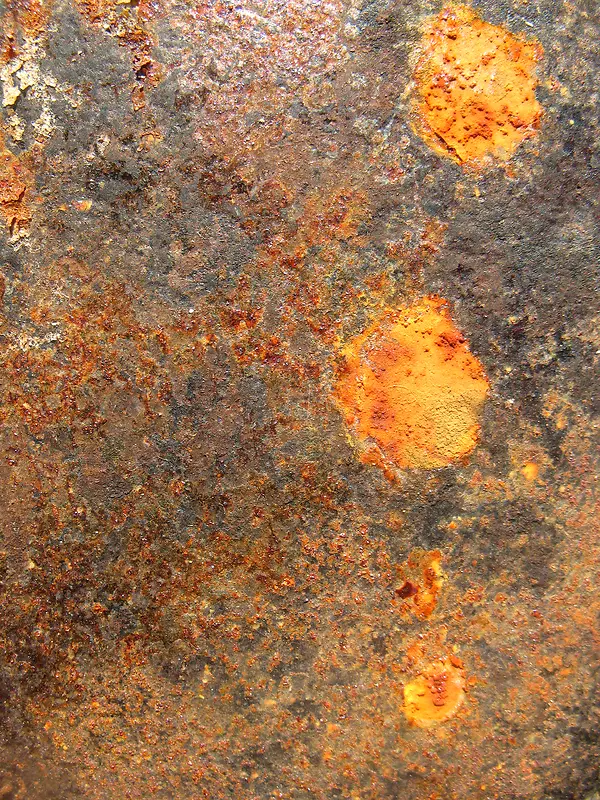 �⼣��������-������