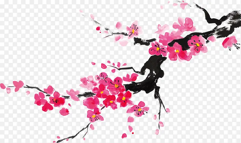 ����ʸ��ѩ÷���ز�-������