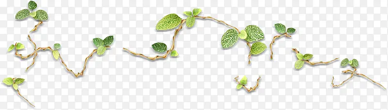 ��ɫ������֦����-������