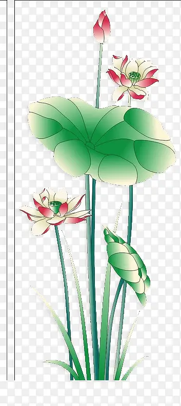 ˮ�ʺɻ�ͼƬ-������