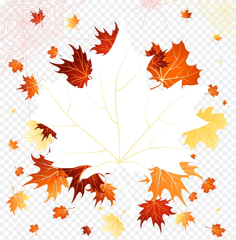 ��Ҷ�߿�ʸ���ز�-������