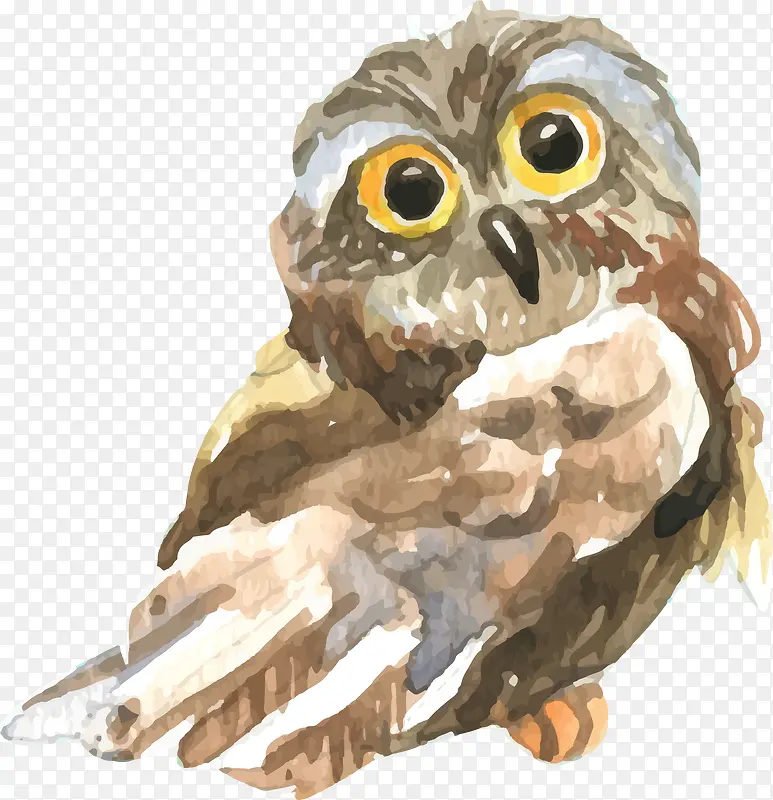 ˮ��дʵèͷӥ-������