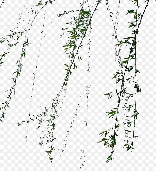 ��ɫ����-������