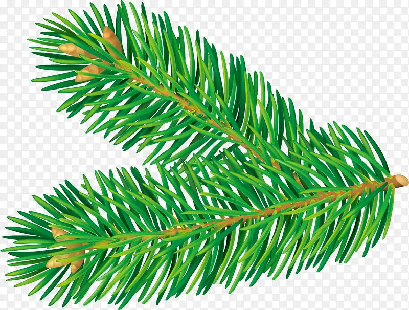 ��ɫʥ��������֦-������