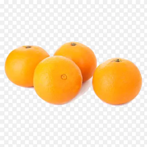 ���ʳ���-������