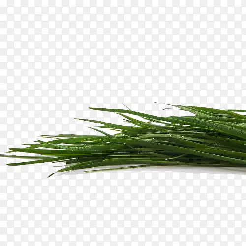 ��ɫ�²�-������