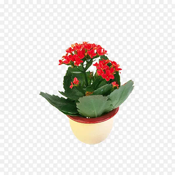 ���ز�ͼƬ-������