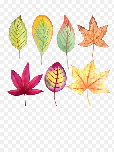 ˮ��������Ҷ��Ҷ-������