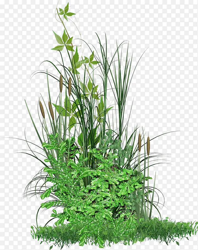 ��ɫ����С��װ��ͼ��-������