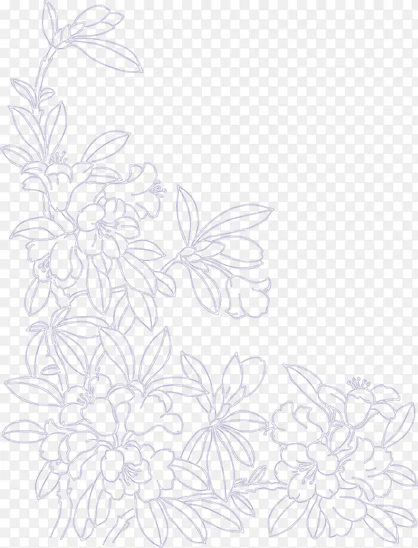 ��ɫ���ܵ���-������