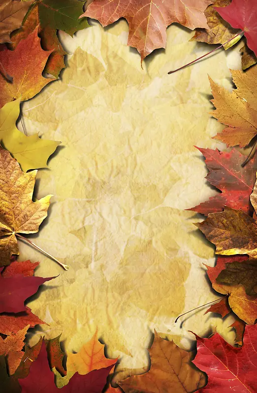 ��Ҷ����-������