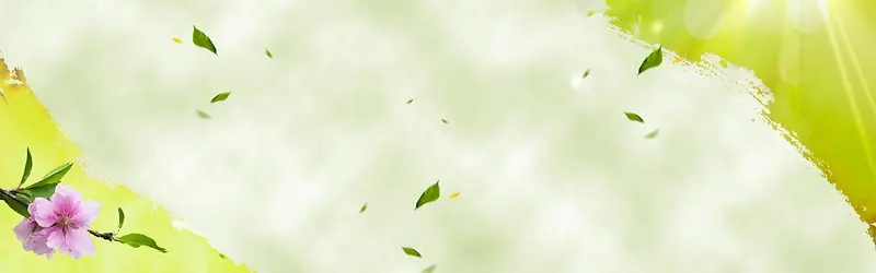 ���Ŵ���ʱ�б���-������