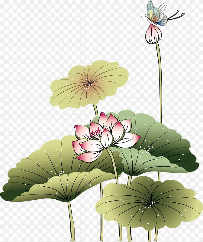 �ֻ�ɻ�-������