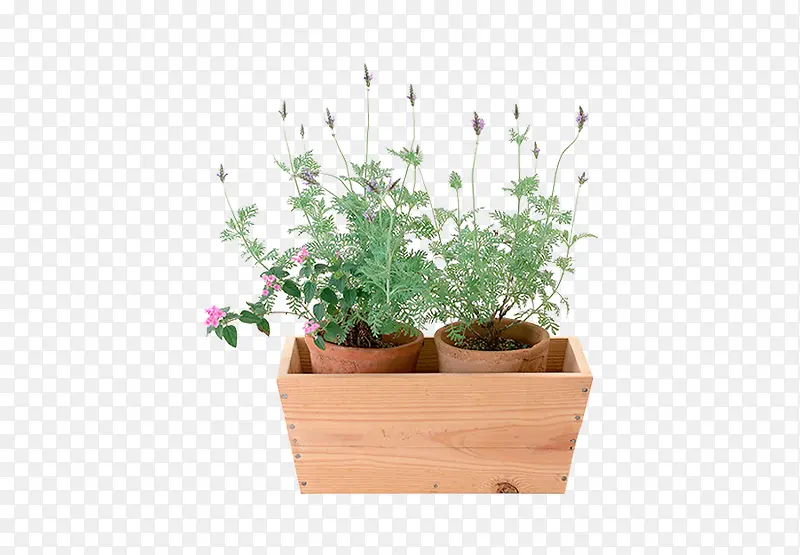 ޹�²�����-������