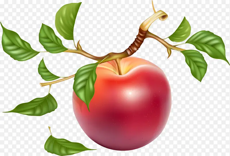 ��ɫƻ��-������