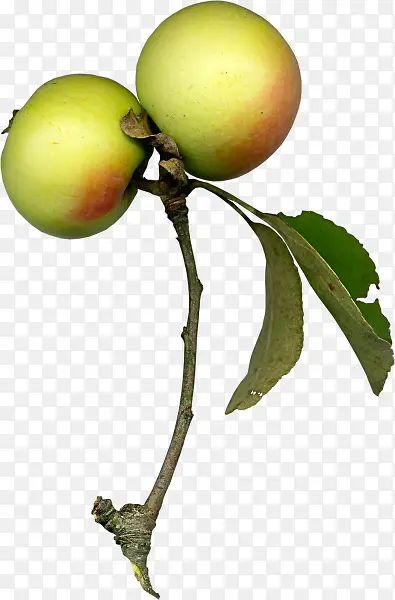 ƻ��-������