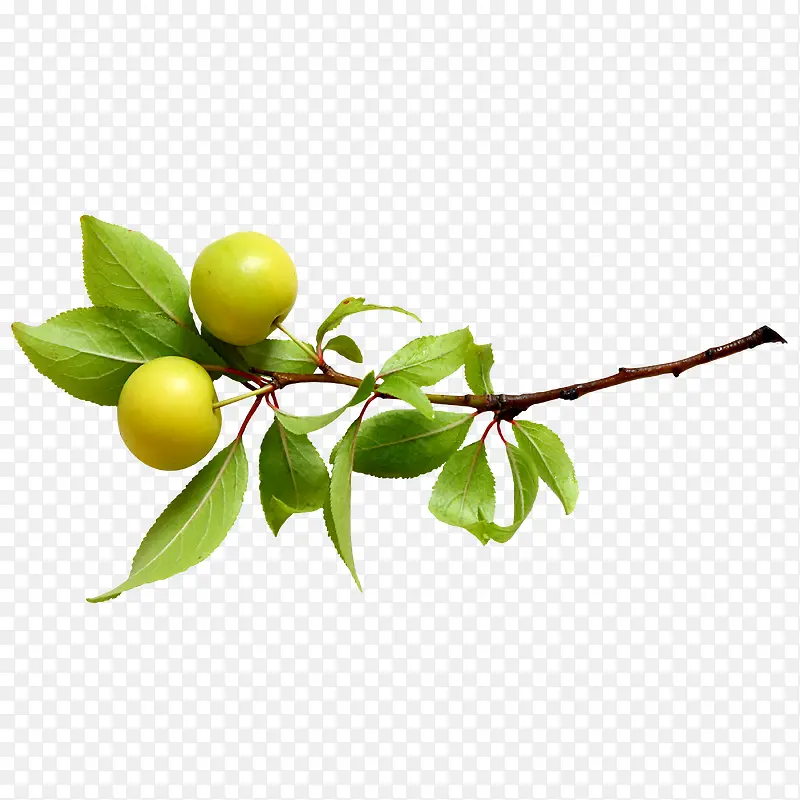 ƻ��-������