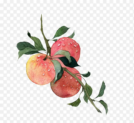 �ֻ�ˮ��ƻ��-������