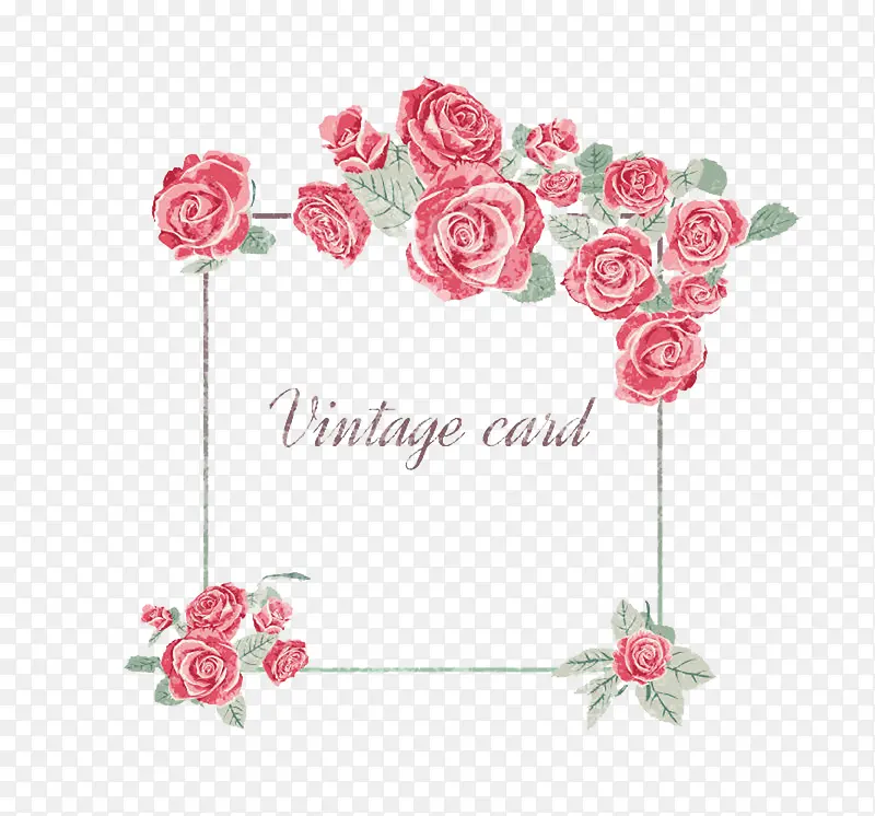 ��ɫõ�廨�߿�Ƭ-������