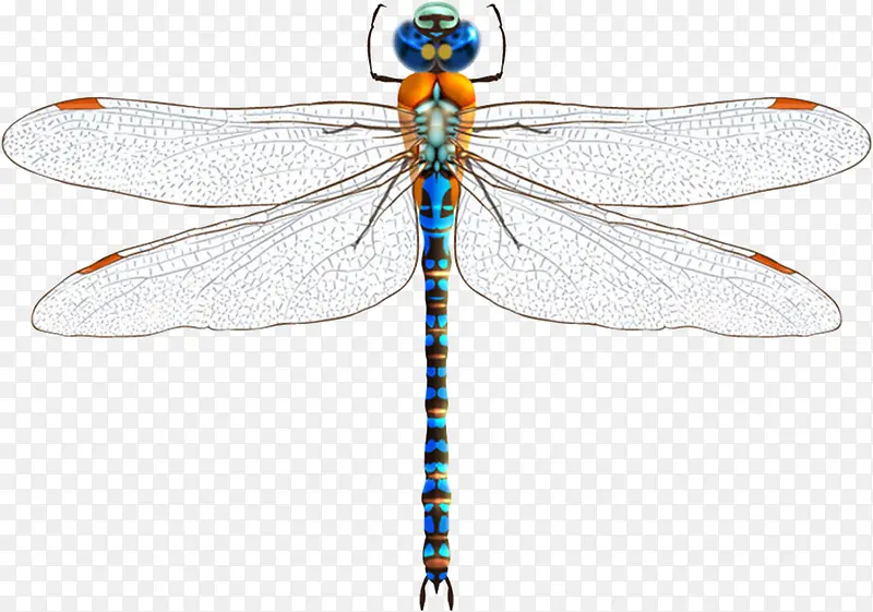 ����-������