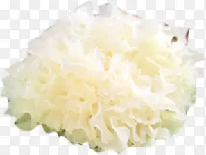 �����ɫ����ʳ��-������