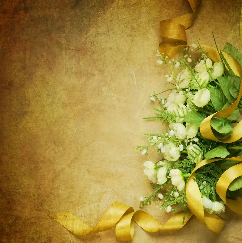 �����ʻ�����-������