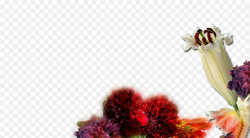 ��֦-������