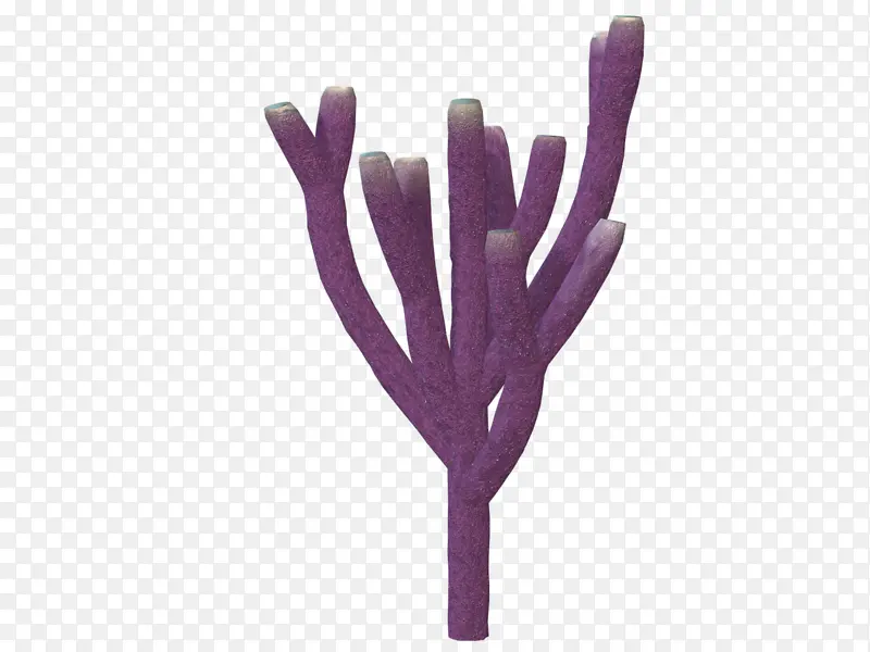 ��ɫ��ͨ��֦֦��-������