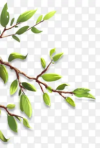 �����ֻ���Ҷֲ����֦Ч��-������