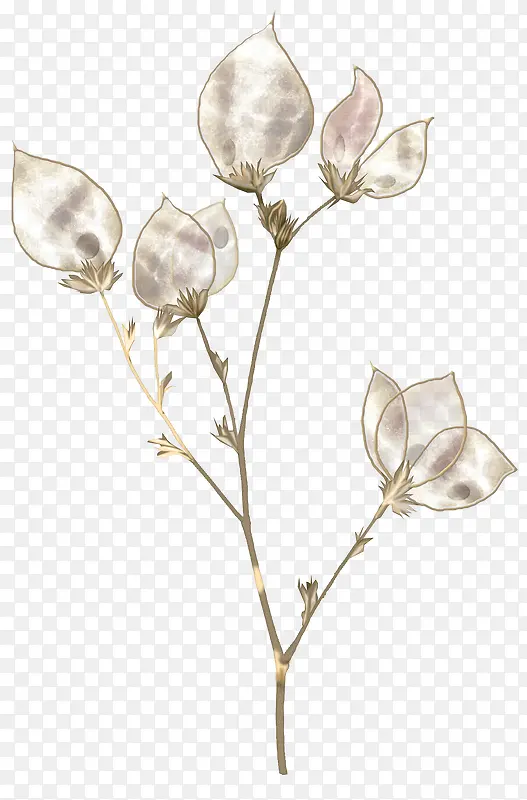 ��ɫ�����ز�-������